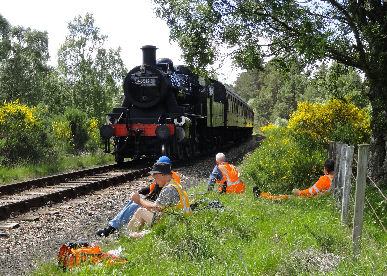 On Track at the Strathspey Railway Tree cutting & Fishplates 17&18th