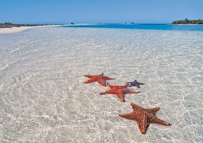 7. Playa Paraiso, Cayo Largo, Cuba - Top 10 Beaches to Go to in 2015