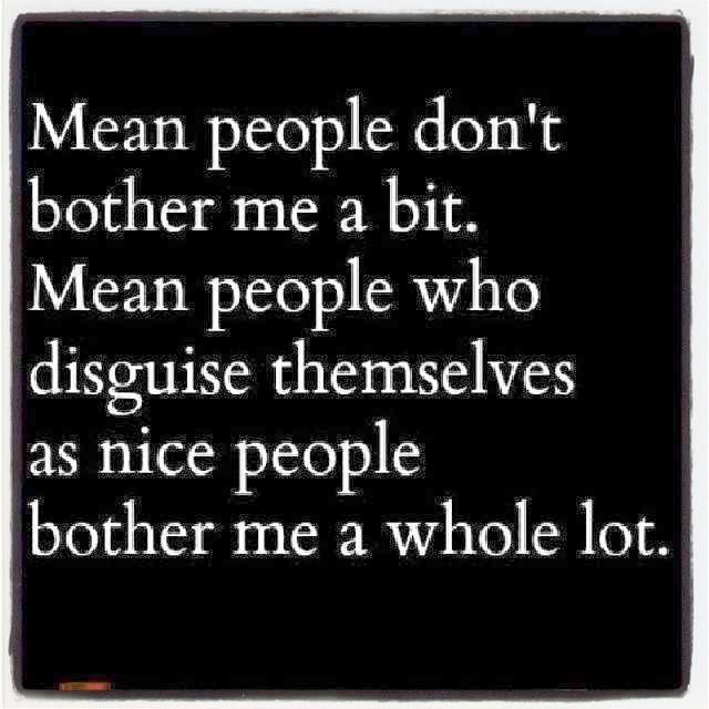 Mean People Dont Bother Me A Bit Mean People Who Disguise Themselves As 