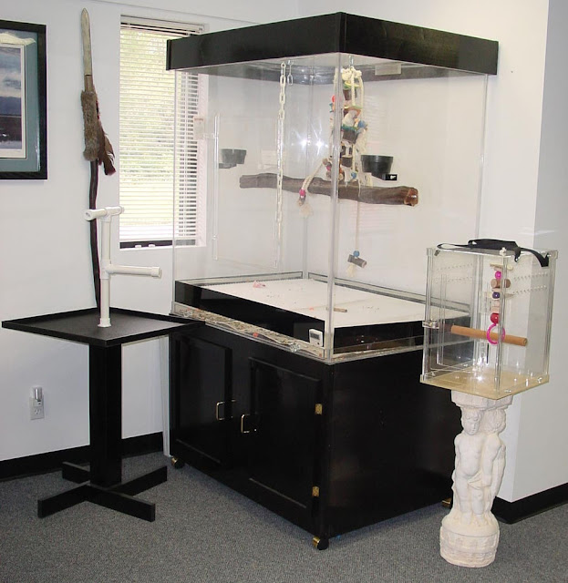 Bird In Everything Bird Cage Acrylic