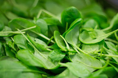 spinach,bayam,vegetables,manfaat bayam