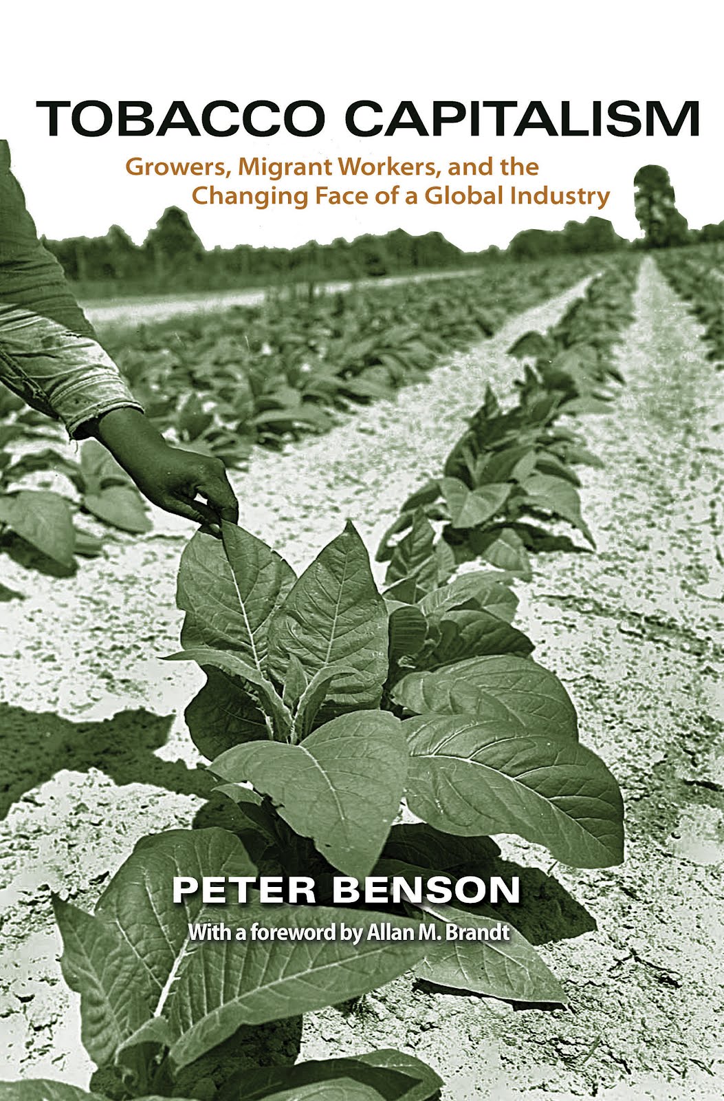 The Rural Blog New book delves into culture, economy of tobacco