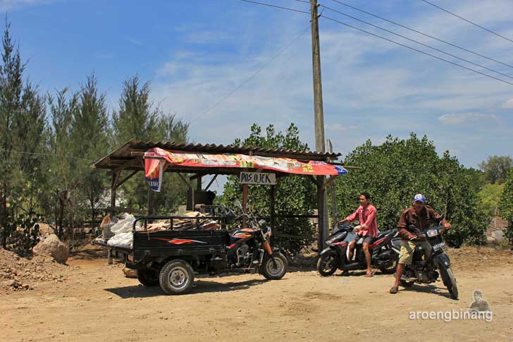 taman mangrove morosari demak