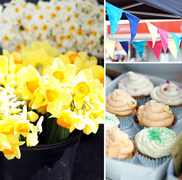 The Bowerbird Daffodil Festival
