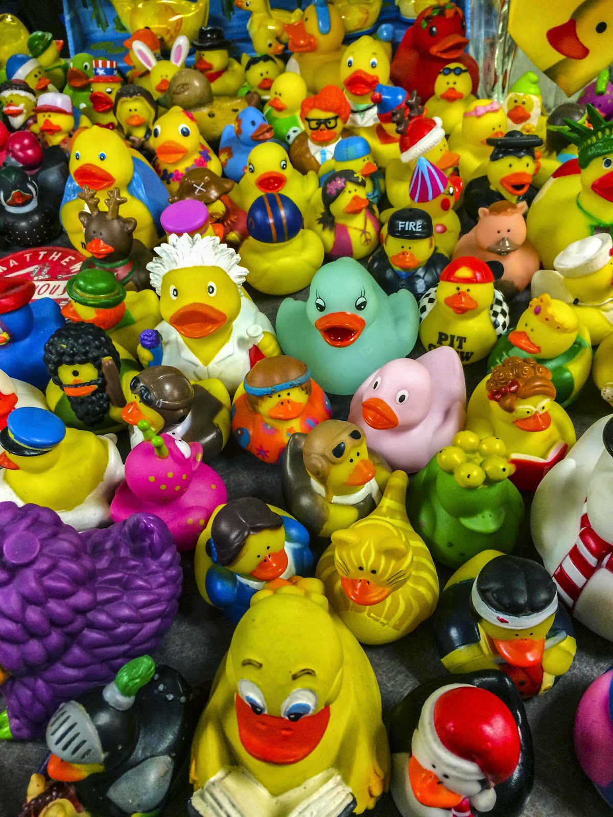Walking Arizona Duck Collection