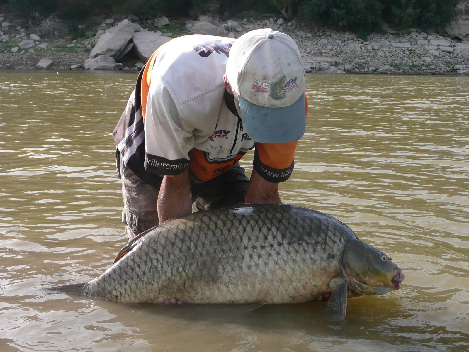 CATFISH FISHING GUIDE IN THE RIVER EBRO, CATFISHING AND CARPFISHING