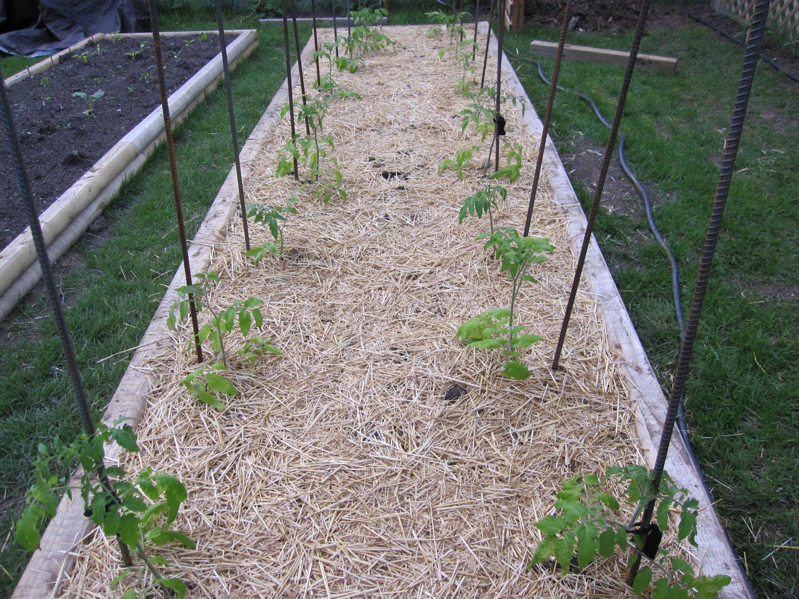 Gross Farms Tomatoes, Asparagus & Mulch