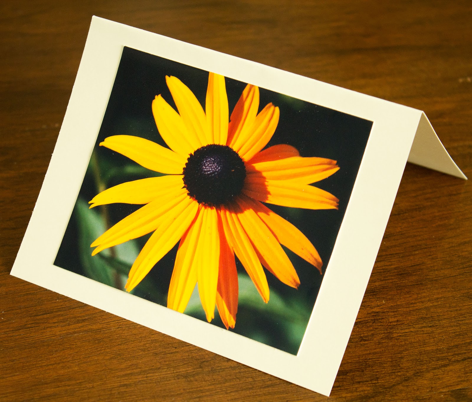 Midwestern City Girl How To Make Photo Greeting Cards