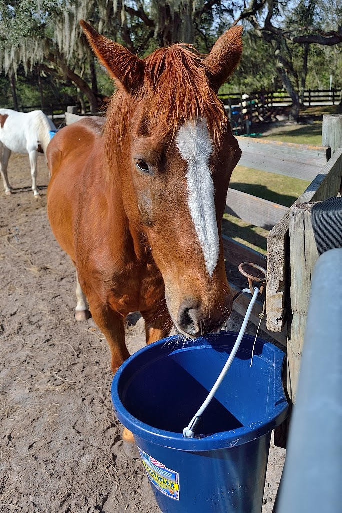 Bleecker Mountain Life Barn Sour