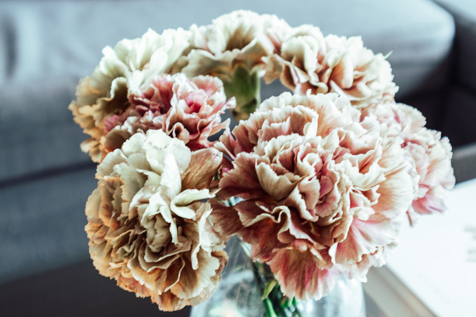 Big mamas home by Jenni S, Kasvisruokakokeilu, varkain kasvava vauva ja kevyttä turhautumista, lapsiperheen arki, lapset, perhe, arki, lapsiperheen arki, syksy,