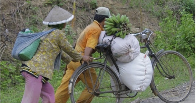 Contoh Gambar Kerja Keras - Gambar Orang Bekerja Kartun Belajar