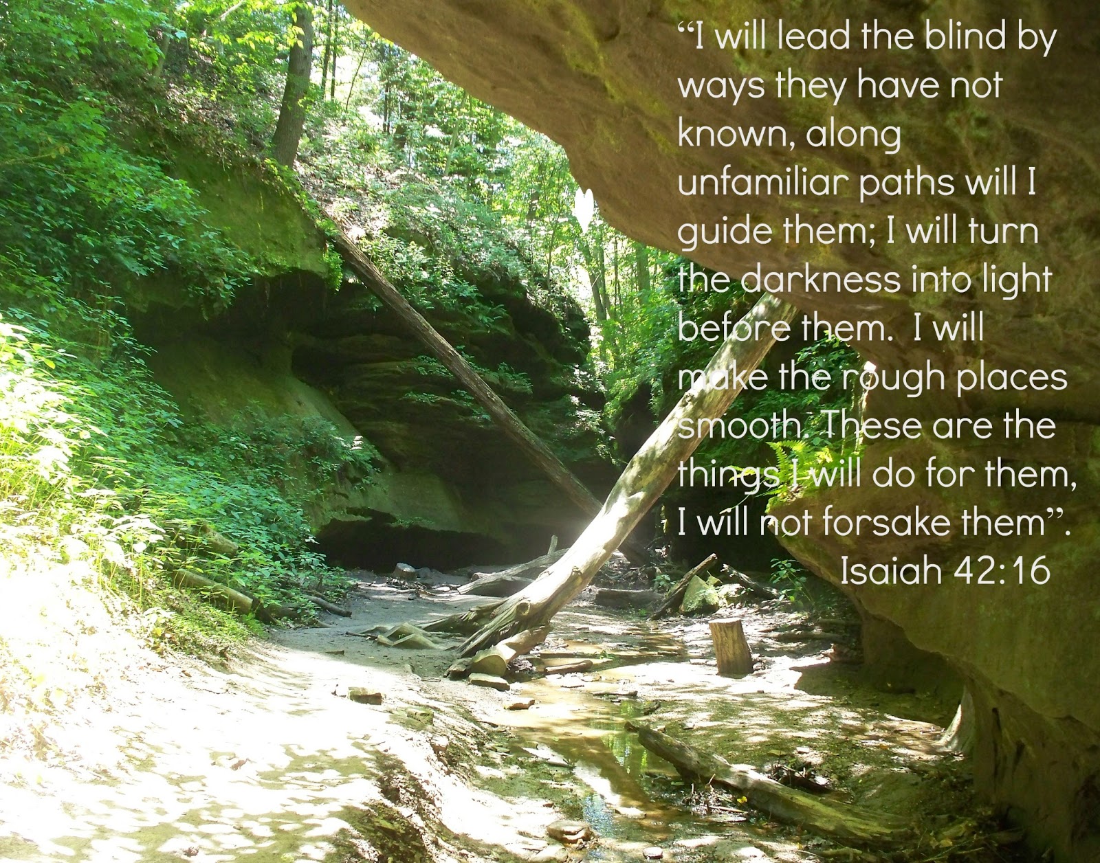  Venturing Into The Unfamiliar Free Printable Second Chance To Dream