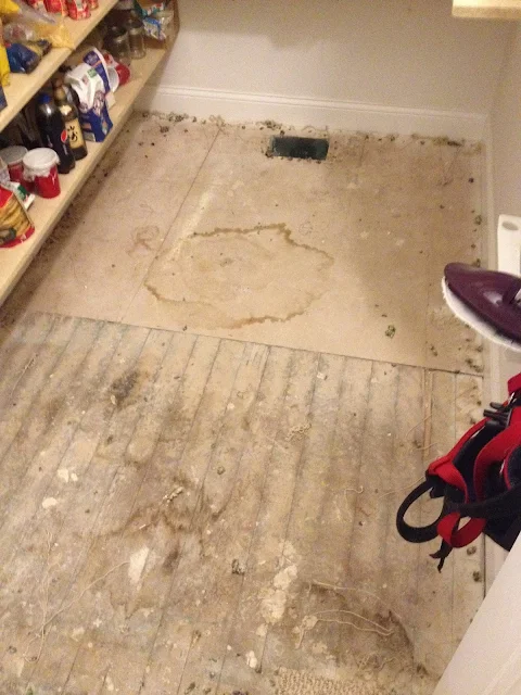 pantry floor before after carpet removal