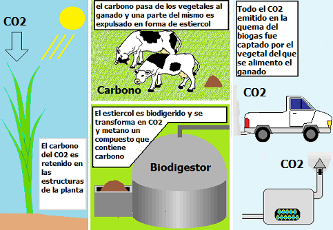 elaboracion de un biogas