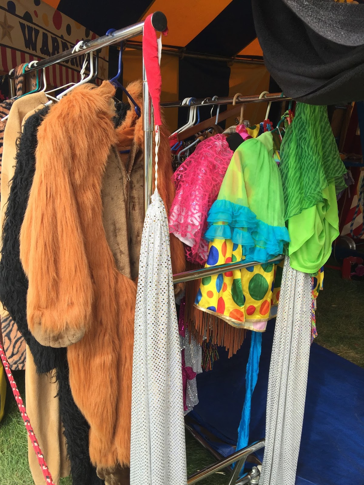 Boise Daily Photo Looks Like Something Fun is Going to Happen