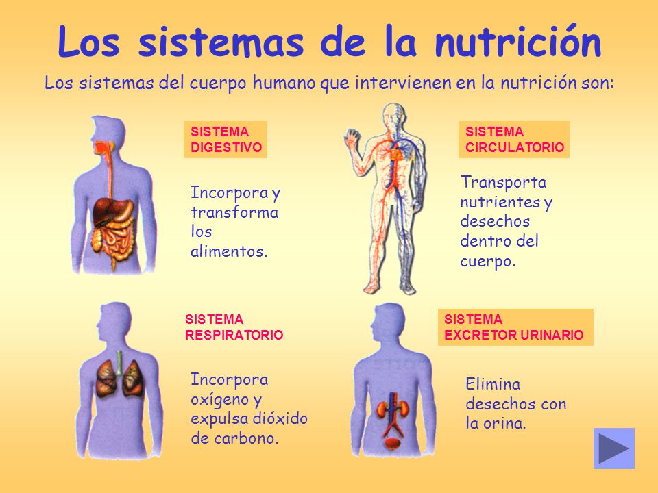 BLOG DE JOSE UNIDAD 2TEMA 2