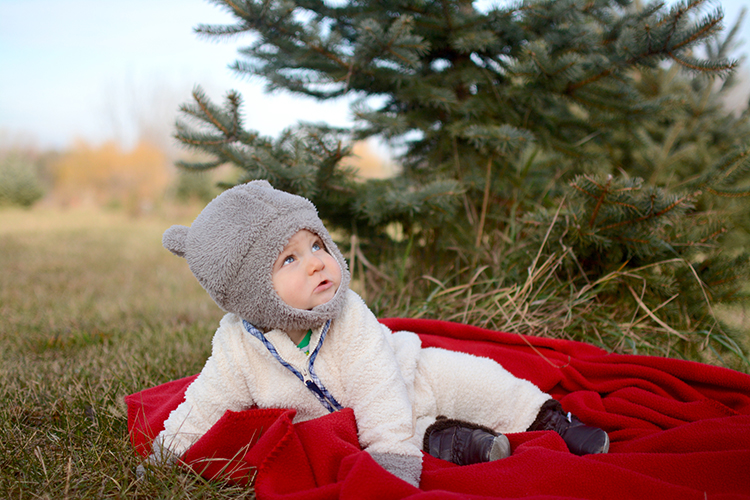 2017 Christmas Tree Hunting | My Darling Days 2017 Christmas Tree Hunting | My Darling Days