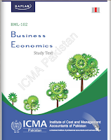Business Economics Business Economics