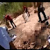 "Aquí Cártel del Golfo cocinando mugrosos": VIDEO muestra como el CDG "cocina" a integrantes de Los Zetas