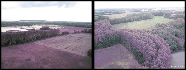 Baptême de montgolfière vue sur les champs filtre violet