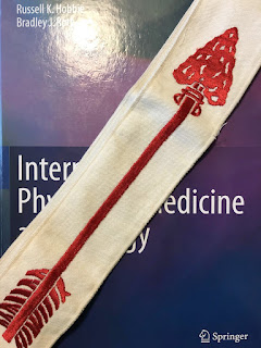 My Boy Scout Order of the Arrow sash, superimposed on Intermediate Physics for Medicine and Biology.