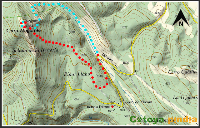 Ruta al Cerro Mogorrita, techo de Cuenca en la Sierra de Valdeminguete, en la Serranía de Cuenca.