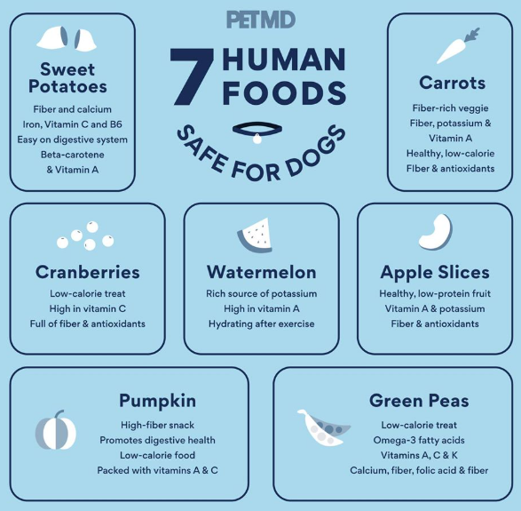 Cameron County PA News Healthy Snacks for Dogs