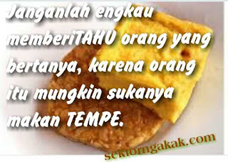 kata kata lucu banget Bergambar bikin ngakak terbaru kata kata lucu banget Bergambar bikin ngakak terbaru