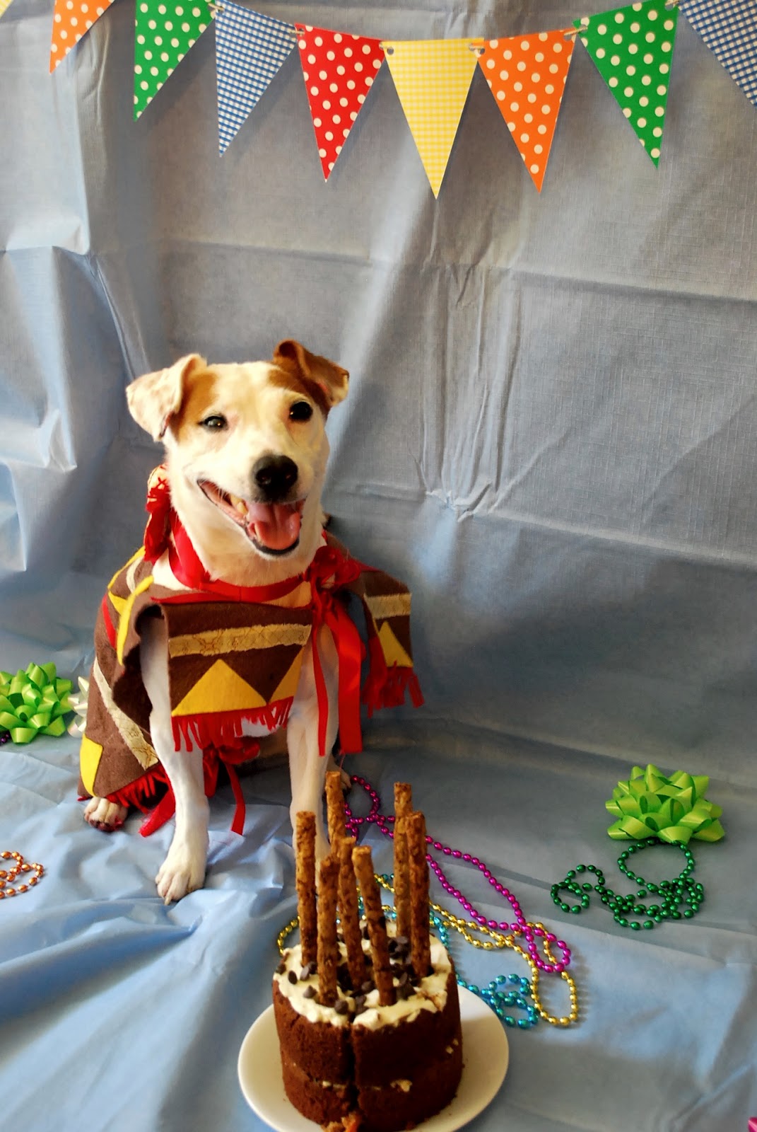 Daydreamer, Creator, DIY Extraordinaire Dog Birthday Party!