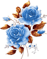 Mobile Wallpapers Blue Rose