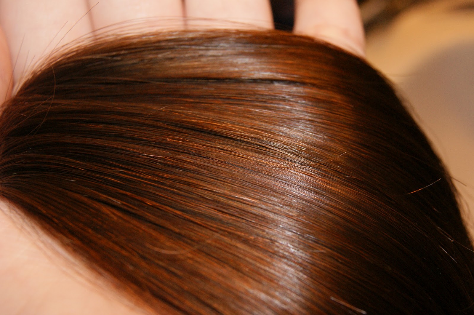 Andrea S World Reviews Hbl Hair Care Review And Giveaway
