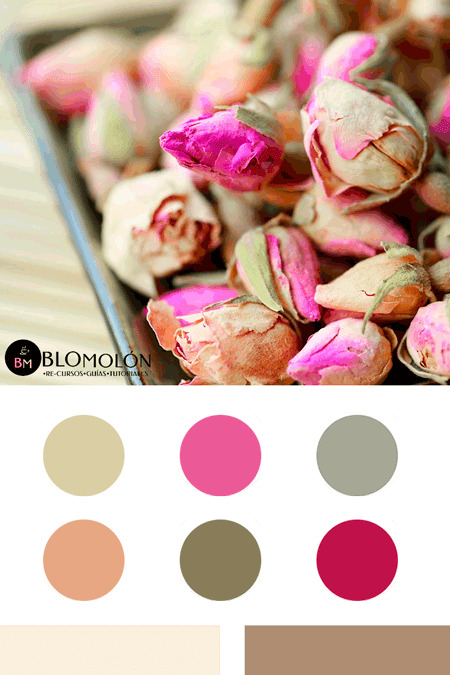 paletas de colores mes de julio 2 combinaciones paletas_de_colores_mes_de_julio 2