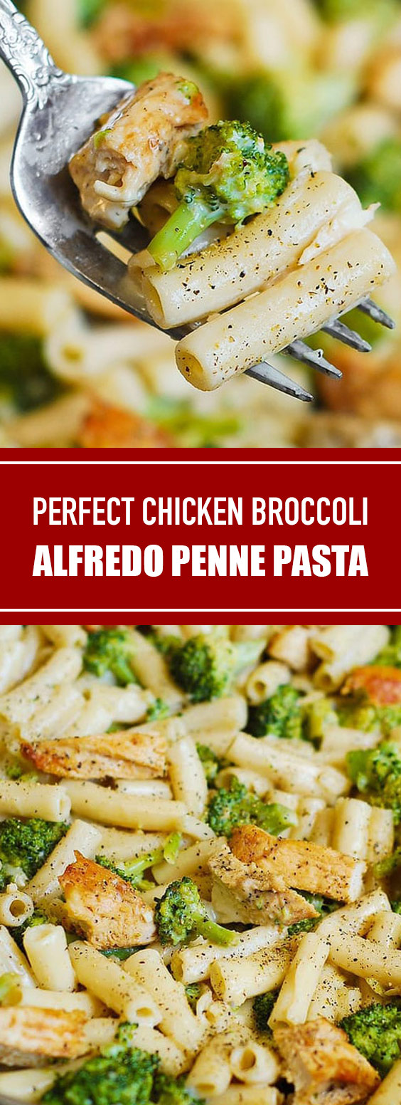 Perfect Chicken Broccoli Alfredo Penne Pasta #chicken #pasta
