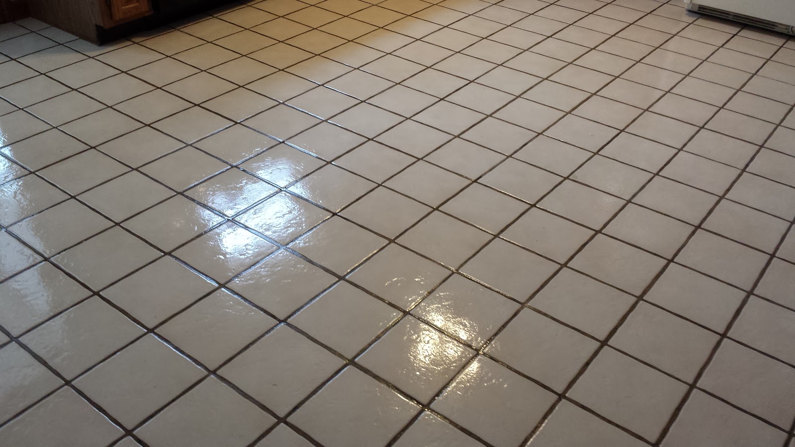 the still wet floor that inspired this thought