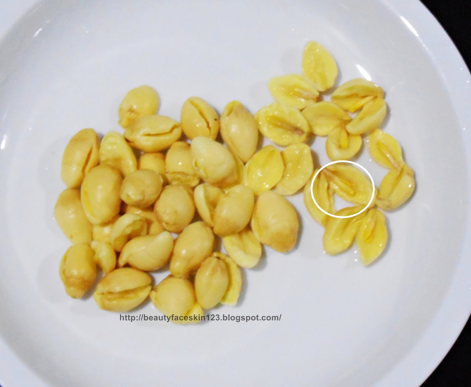 GREAT SKINandLIFE FOOD SNOW FUNGUS AND GINGKO BILOBA DESSERT RECIPE