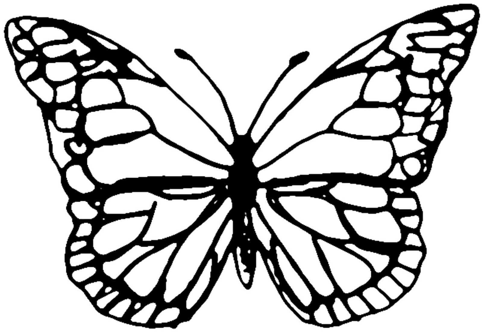 butterflies-free-coloring-pages