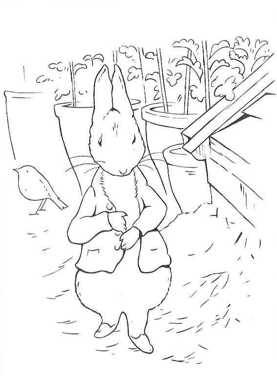 peter rabbit - disegno da stampare e colorare