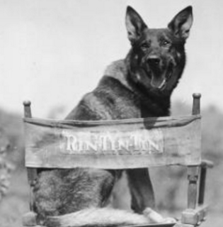 Screen%2Bshot%2B2016-03-03%2Bat%2B11.09.