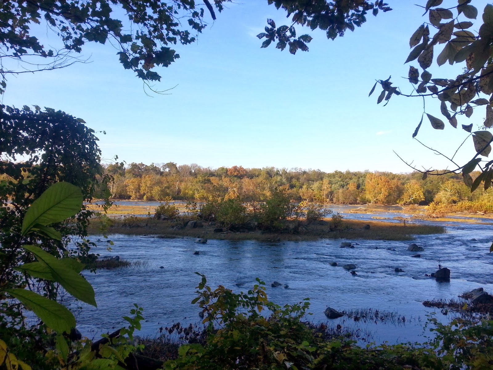 Ben's Journal Trail Running Turkey Run Loop