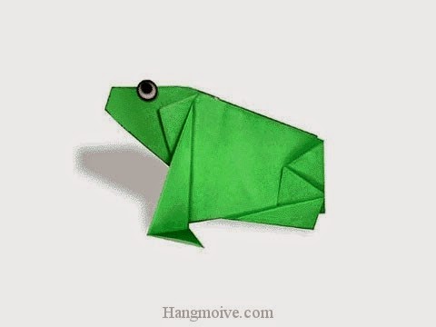 Cách gấp, xếp con ếch ngồi bằng giấy origami - Video hướng dẫn xếp hình sinh vật dưới nước - How to fold a Frog