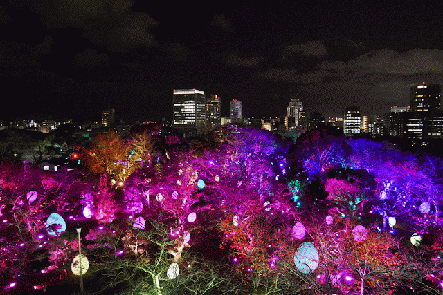 福岡城 チームラボ 城跡の光の祭