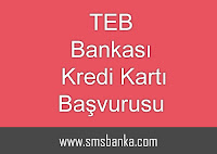 TEB Bankası 4663 İle Anında Kredi Kartı Başvurusu