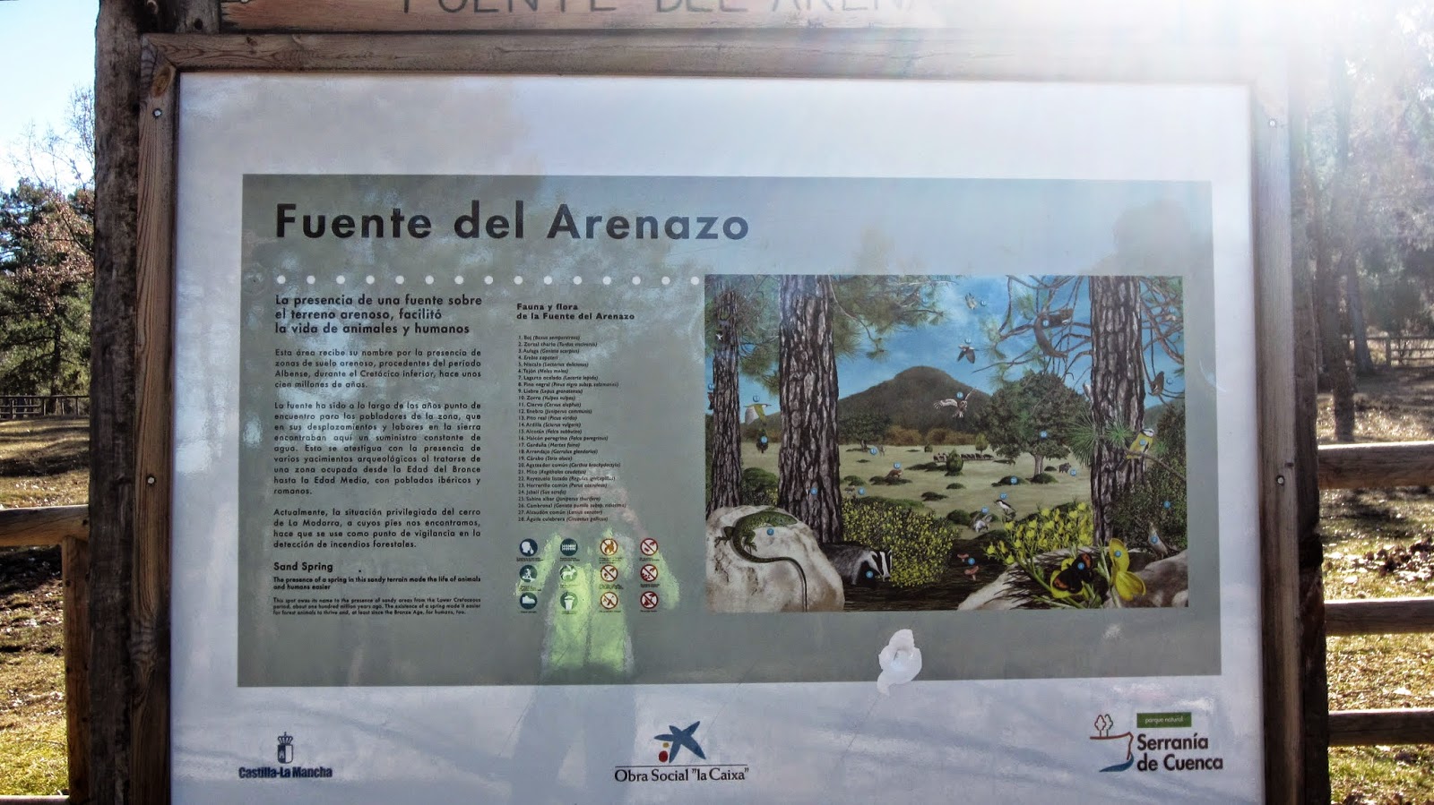 Fuente del Arenazo