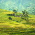 What to expect when going trekking in Sapa?
