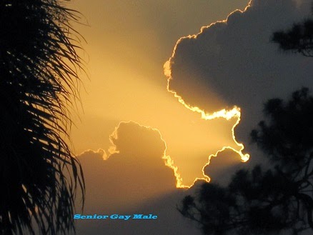 A Senior Gay Male - And His Blog