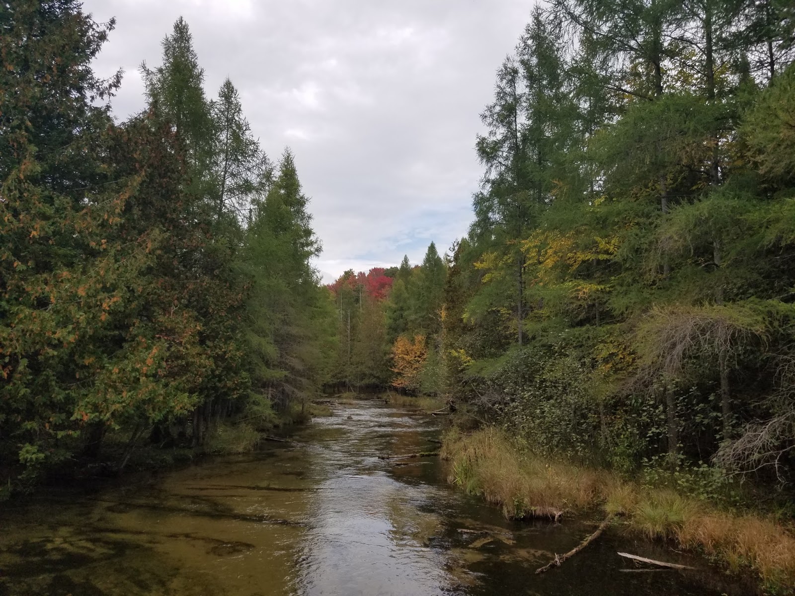 Wilderness Wanderings Jordan Valley Pathway