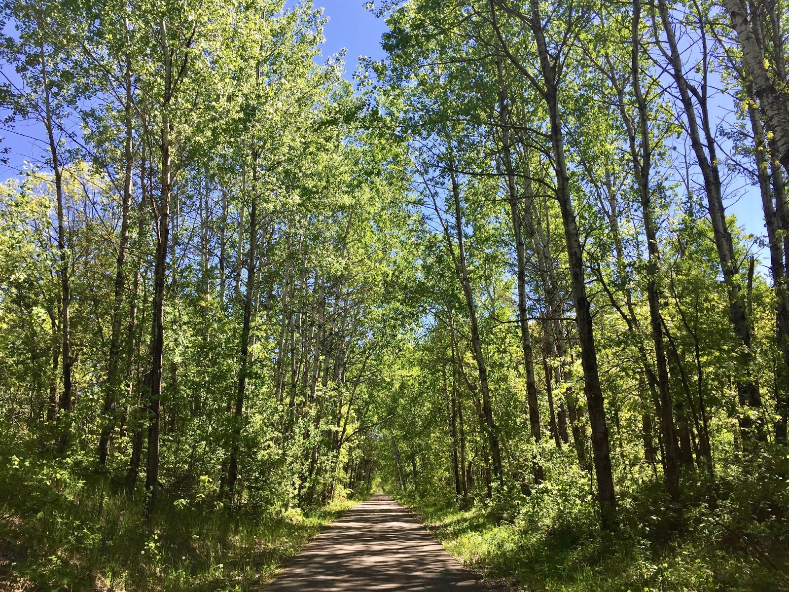 Along the Way Heartland State Trail Park Rapids to Walker (MN)