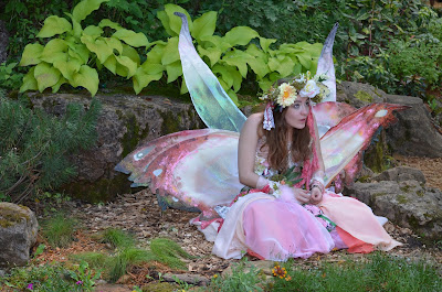 Enchanted Fairy Photo by Trisha Field