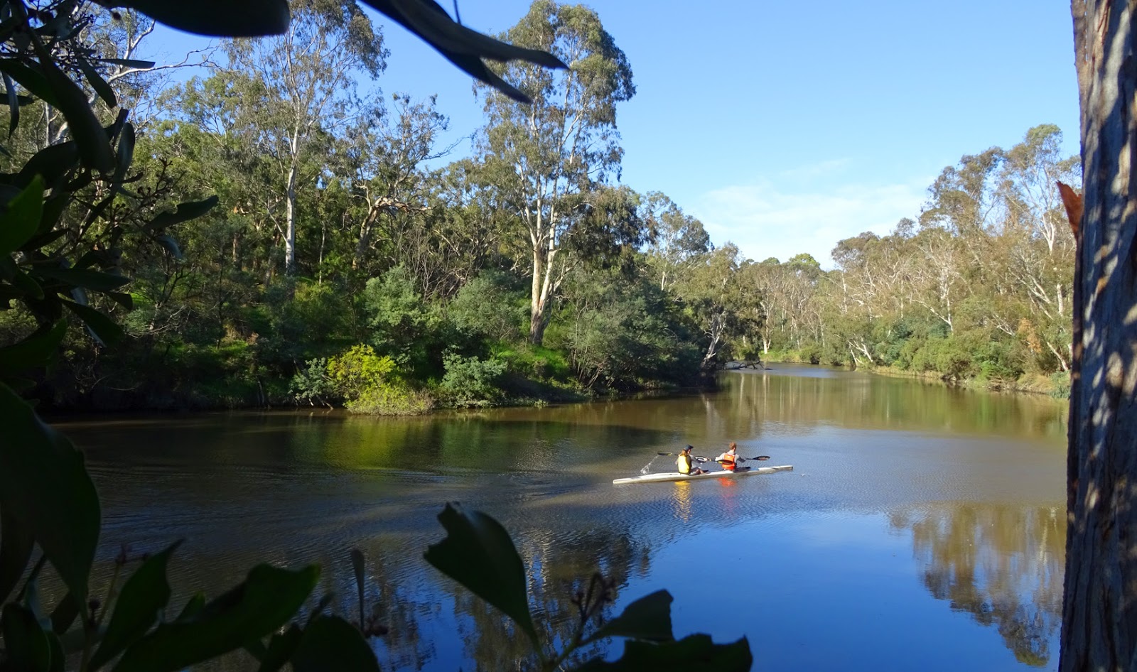 My Desktop Daily DESKTOP 1411 YARRA BEND PARK