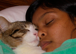 alt="niña y gato compartiendo sueños"